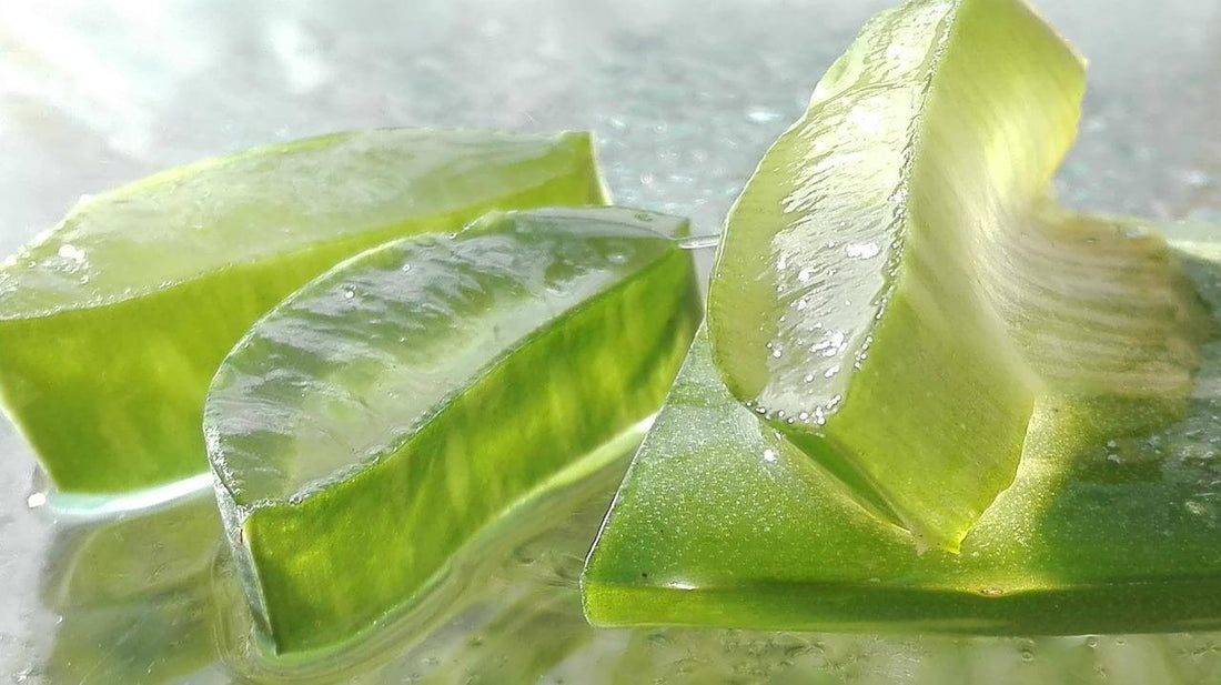 Health Benefits of Aloe Vera Juice